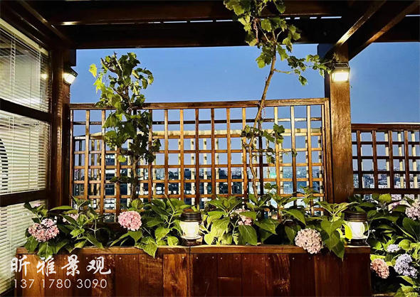空中花园的夜晚花朵格外艳丽